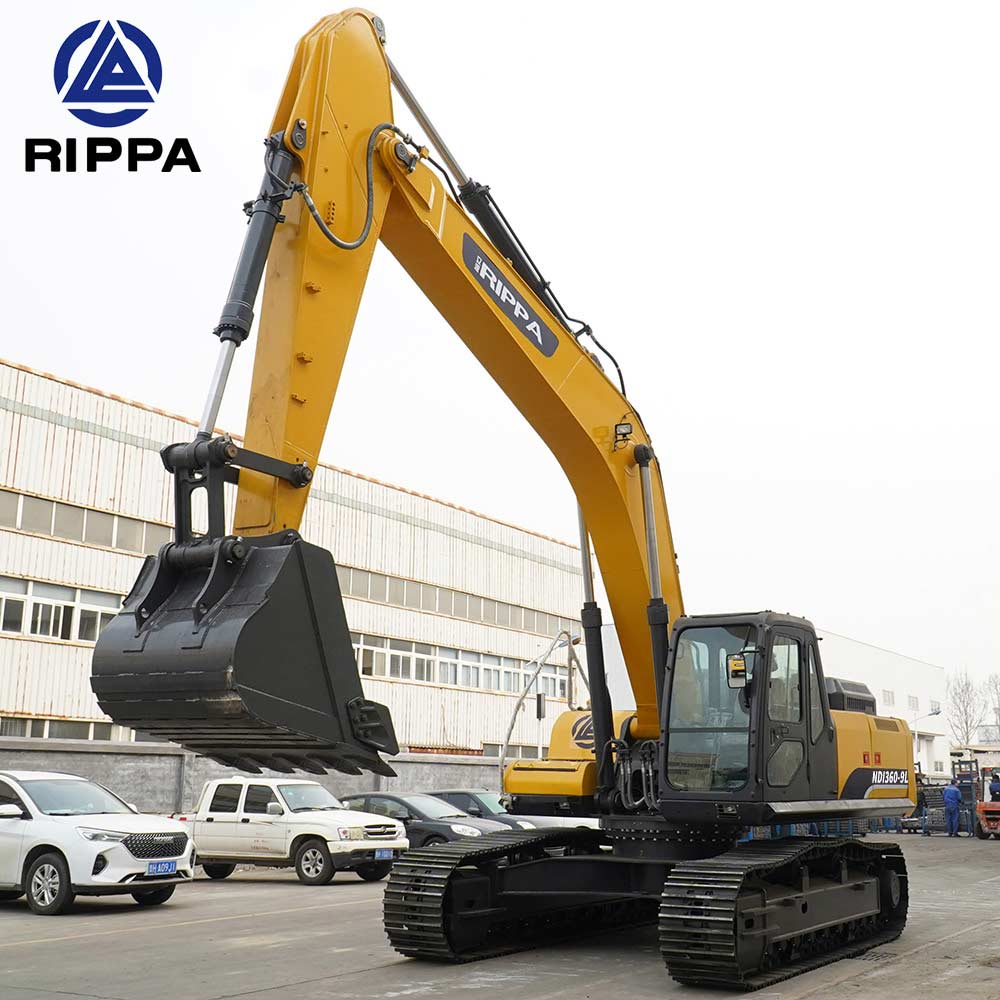 big excavator for sale